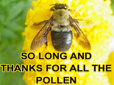 bee_gone.jpg