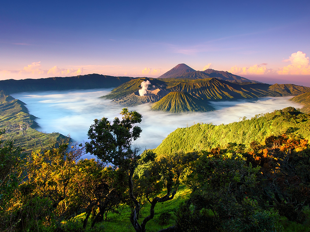 Mount+Bromo+6.jpg