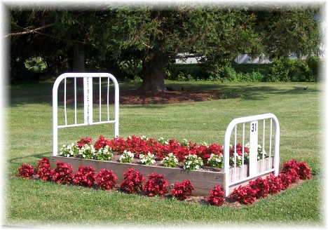 flower_bed_06-26-10.jpg