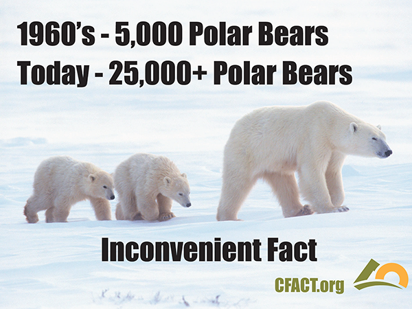 COP-21-slides-polar-bears.png