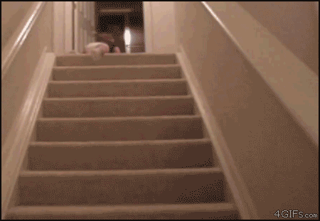 eWs9a.gif