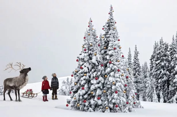 White-Christmas.jpg