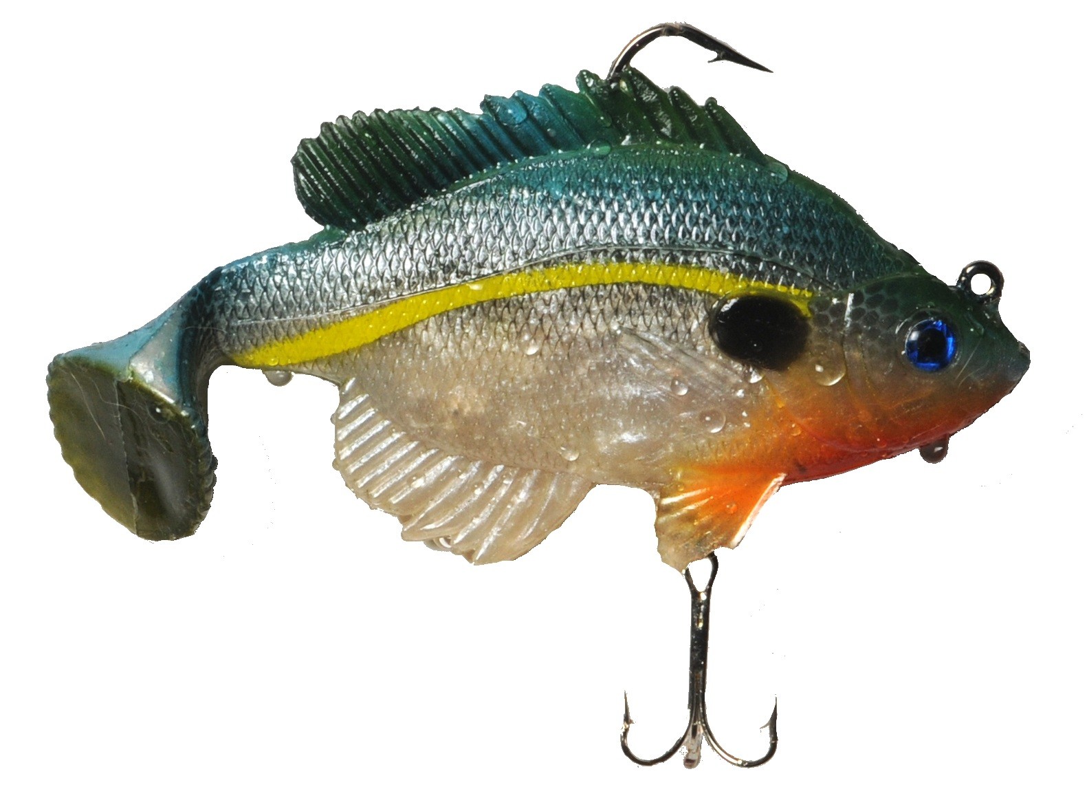 sexy_bluegill_1.jpg