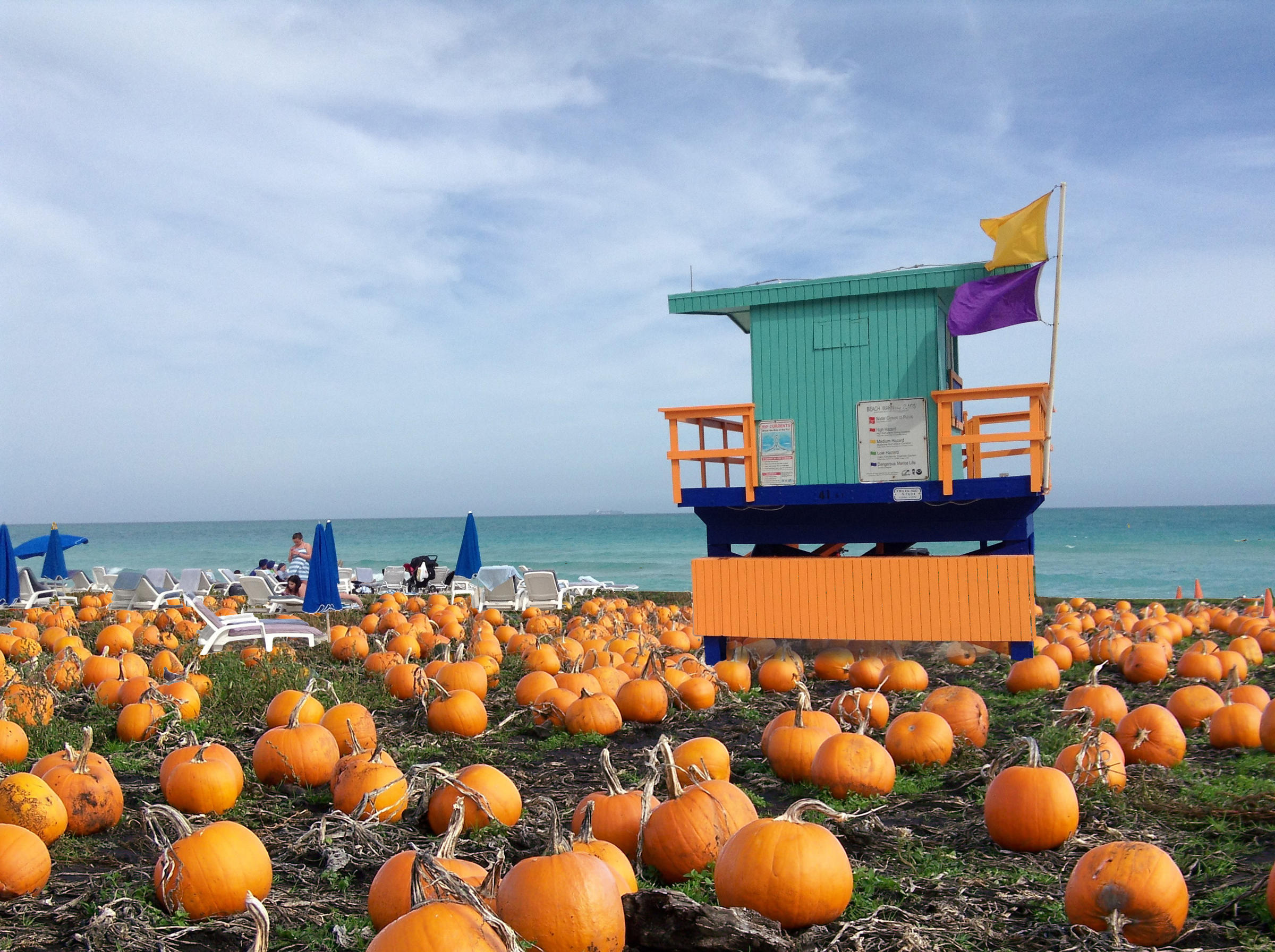 Fall-into-the-Beach.jpg