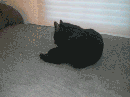 tumblr_inline_mv2d2ffChV1r023dt.gif