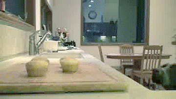 daily_gifdump_5005_14.gif