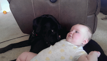 tumblr_mu5i9kkPoS1qfbsr5o1_400.gif