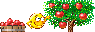 picking_apples.gif