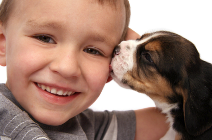 iStock_000005769376XSmall.jpg