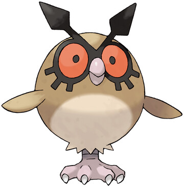 hoothoot.jpg