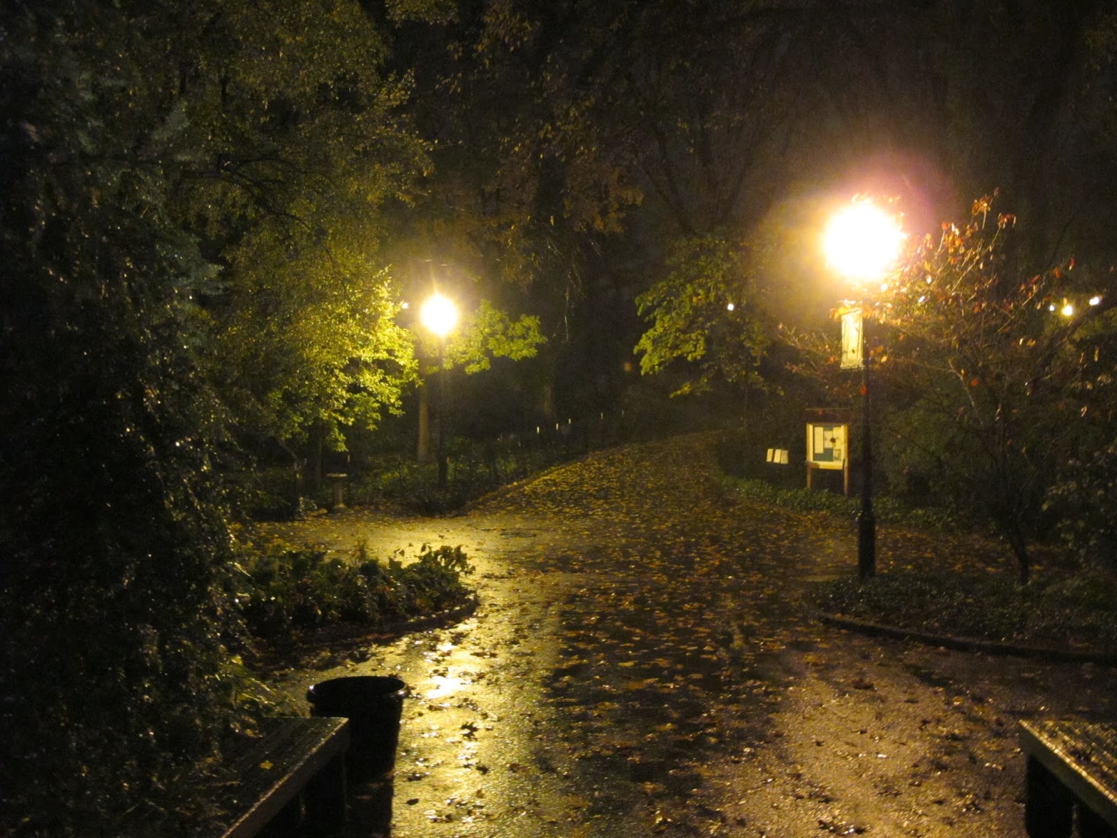 november-night.jpg