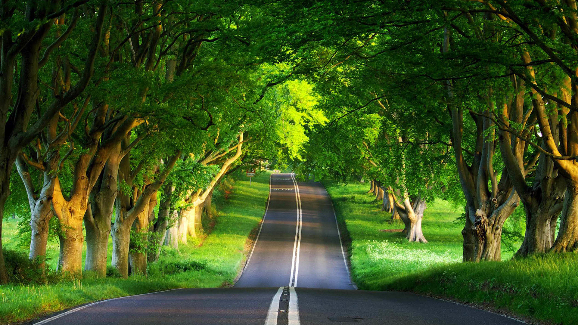 beautiful_street_by_justjustas-d5iluar.jpg