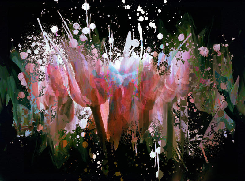 Exploding_flowers_II_by_DigitalHyperGFX.jpg