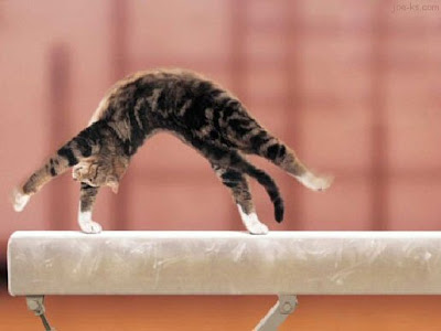 Catnastics.jpg