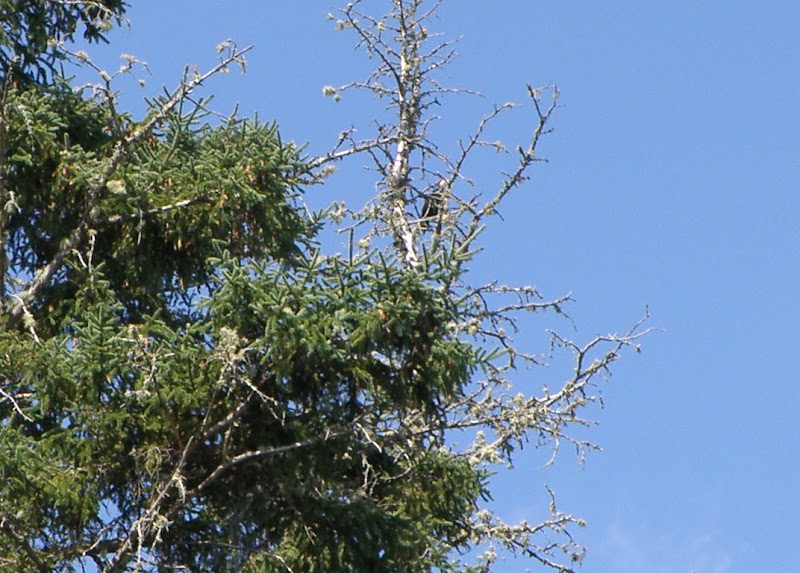 P9031632.JPG