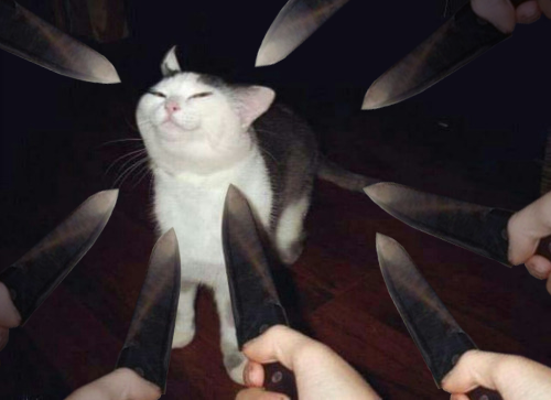 HPiEDKl.jpg