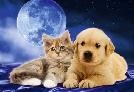 1209599-bigthumbnail.jpg