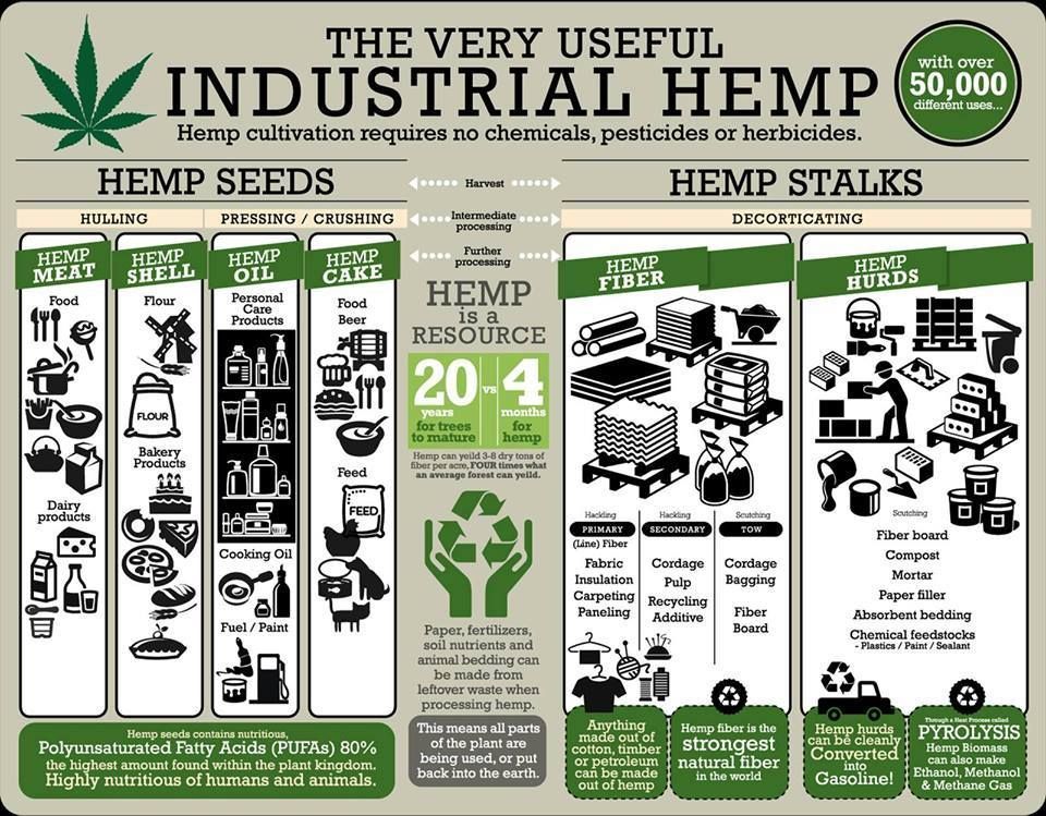 hemp-pic_1_orig.png