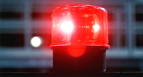 02redlight%20tall%20flash.gif