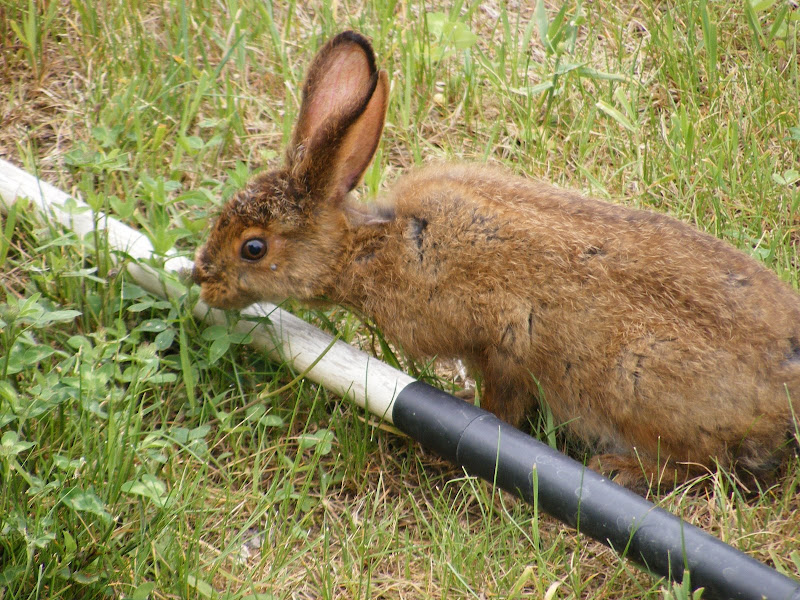 DSCF5534.jpg