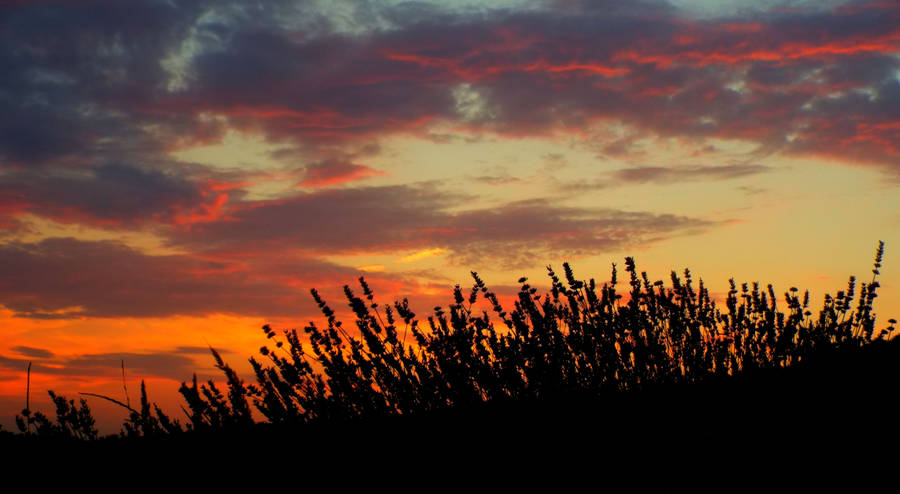 beautiful-sunset-85.jpg