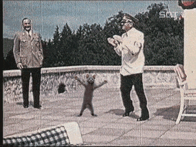 hitler-cat-dance.gif