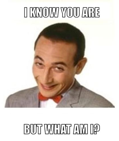 i_know_you_are_but_what_am_i.jpg