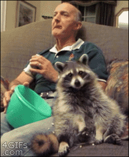 14.gif