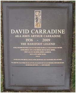 david-carradine-3.jpg