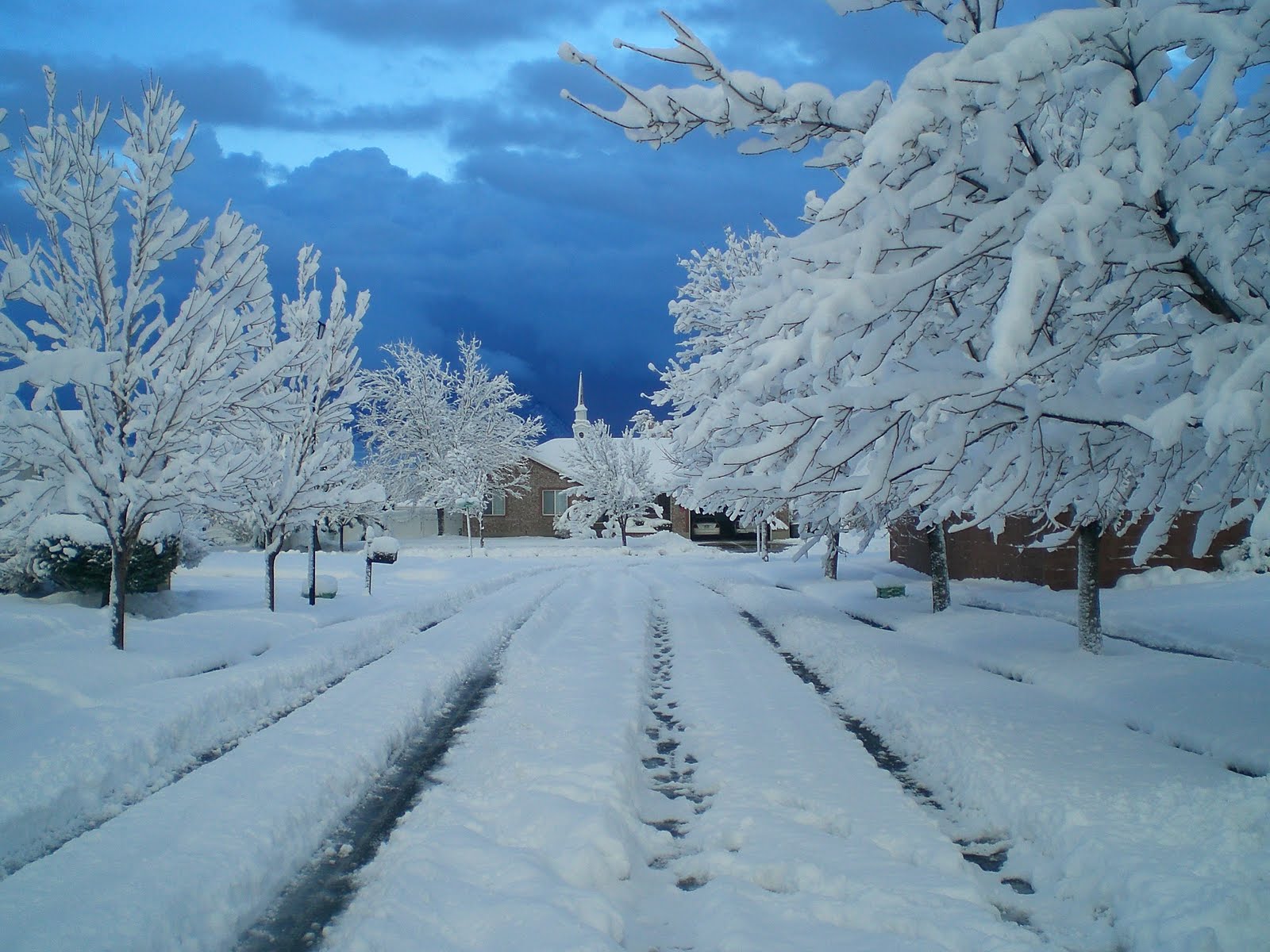 snow2010%2B003.JPG