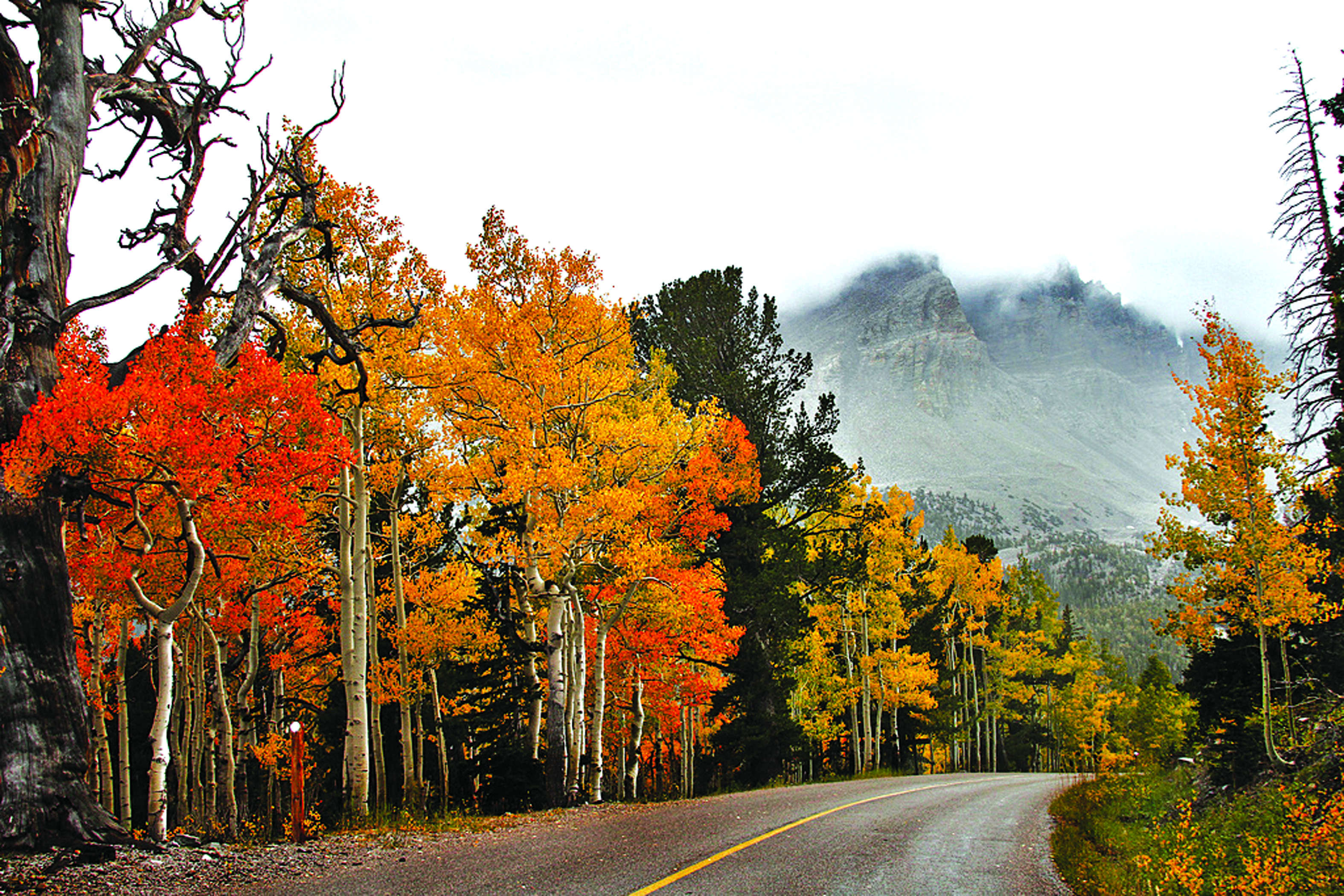 Great-Basin1.jpg