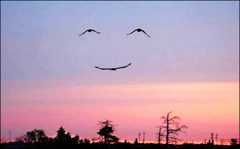 smileinthesky.jpg