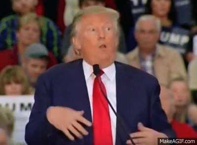 1255600.gif