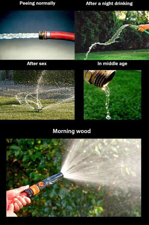 acid_picdump_119.jpg