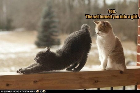 t3-w1s2T4_N3iJL9anySwjl72eJkfbmt4t8yenImKBVaiQDB_Rd1H6kmuBWtceBJ