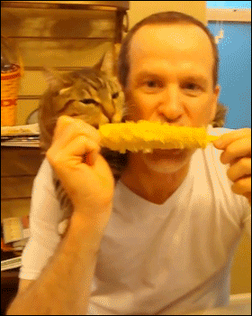 Am4CMAq.gif