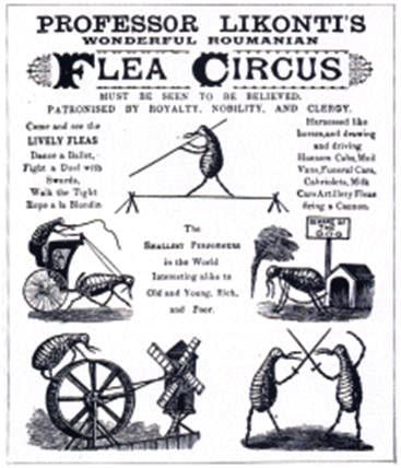 flea-circus-poster.jpg