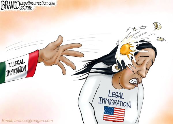 EGG-Immigration-600-LI.jpg