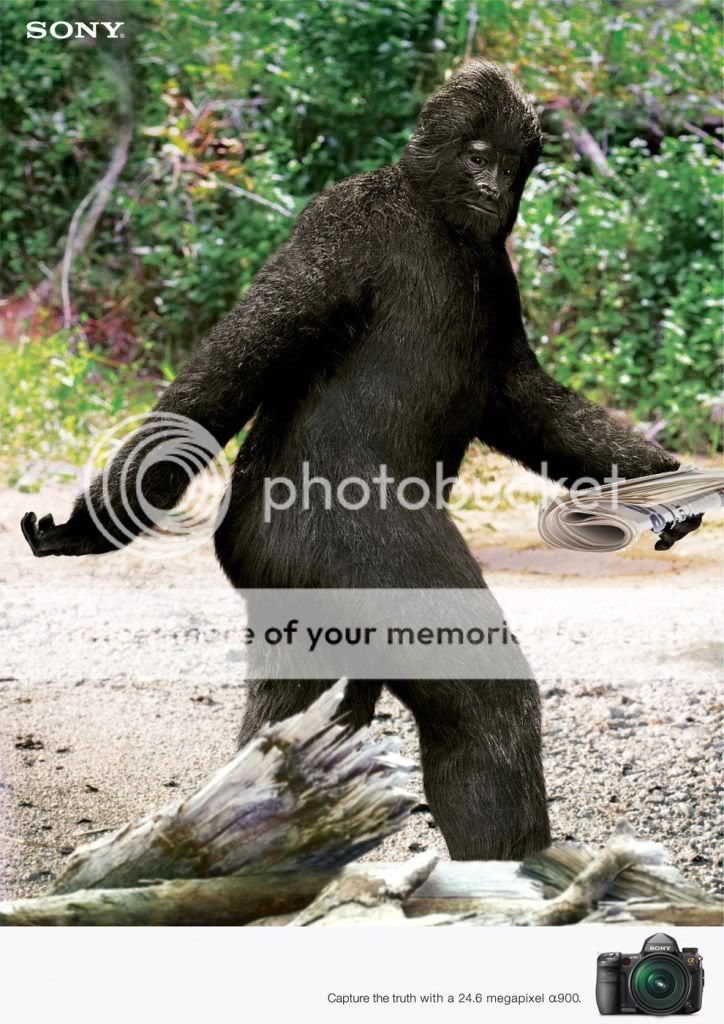 evidencebigfoot.jpg