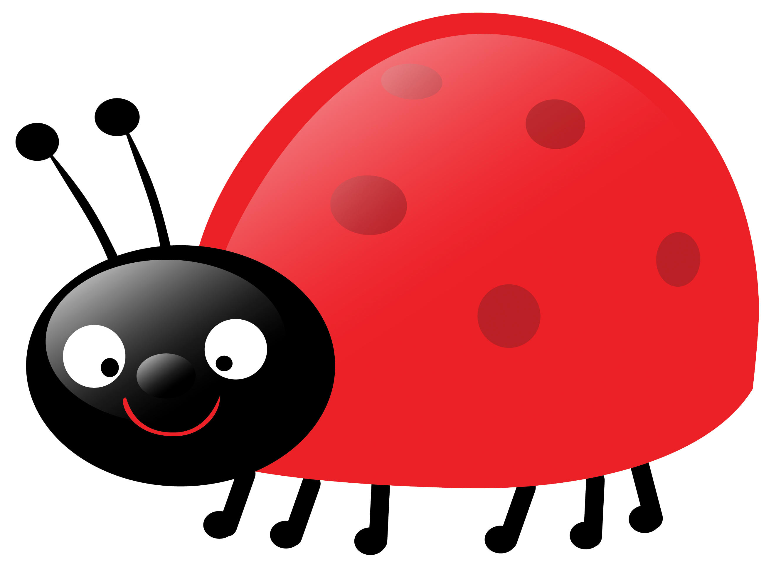 ladybug-clipart-dT6eXnkbc.jpeg