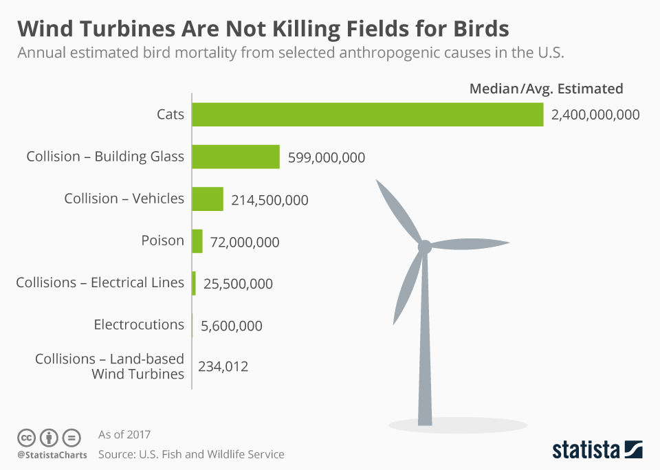 www.statista.com