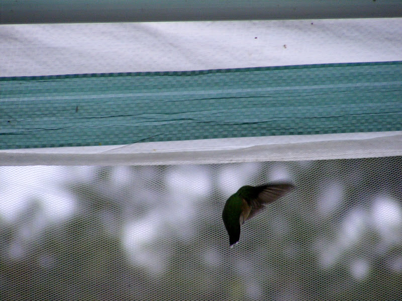 DSCF0291.jpg