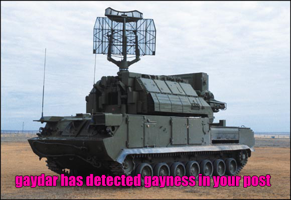 4cdbcd1070e75-gaydar.jpg.gif