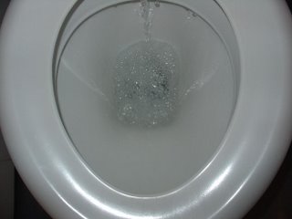 flush.jpg