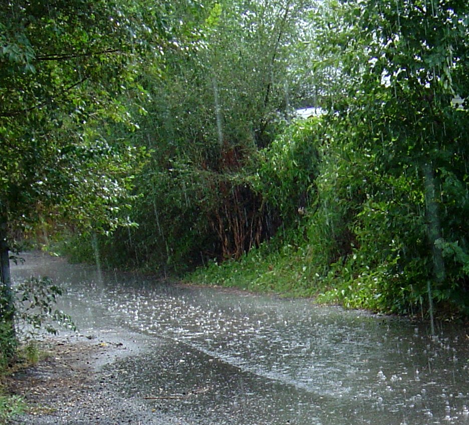 alley_in_the_rain.jpg