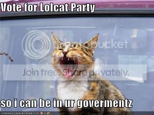 vote-Lolcat_zpsbd628882.jpg