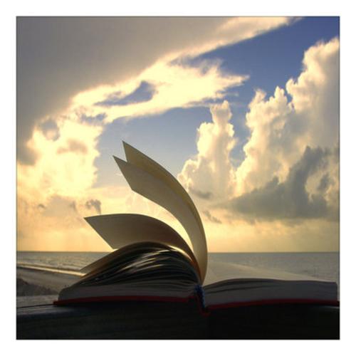 beachreading.jpg