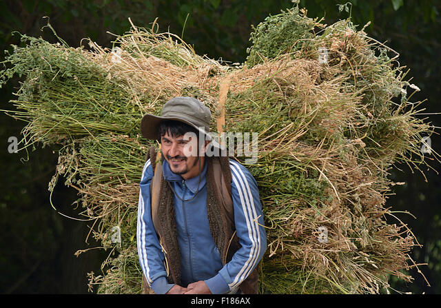 tajikistan-rural-collection-f186ax.jpg