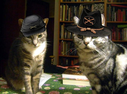 civil+war+cats.jpg