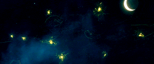 tumblr_ne3rxwJjiv1rl7arbo1_500.gif